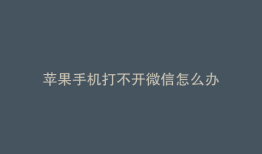 苹果手机打不开微信怎么办