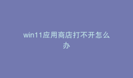 win11应用商店打不开怎么办