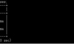 SQL 基础使用入门(一): SQL简述及DDL语句