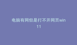 电脑有网但是打不开网页win11