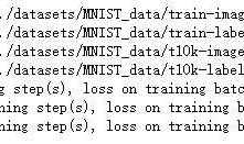 吴裕雄--天生自然TensorFlow高层封装：使用TensorFlow-Slim处理MNIST数据集实现LeNet-5模型