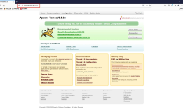 Apache-Tomcat-Ajp漏洞(CVE-2020-1938)漏洞复现