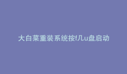 大白菜重装系统按f几u盘启动