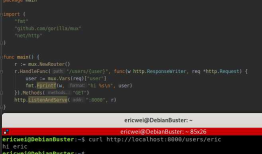 Go Pentester - HTTP Servers(2)