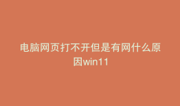 电脑网页打不开但是有网什么原因win11
