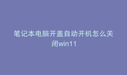 笔记本电脑开盖自动开机怎么关闭win11