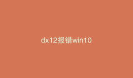 dx12报错win10