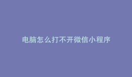 电脑怎么打不开微信小程序