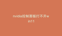 nvidia控制面板打不开win11