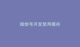 微信号开发禁用缓存