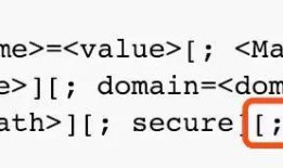 HttpOnly是怎么回事？