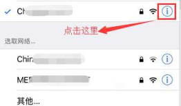 fiddler 抓ios设备https的包