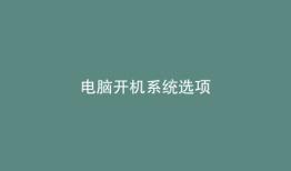 电脑开机系统选项