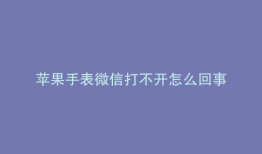 苹果手表微信打不开怎么回事