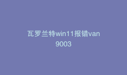 瓦罗兰特win11报错van9003