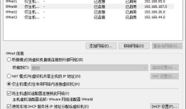 DHCP + DNS + WEB综合架构的搭建