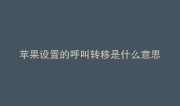 苹果设置的呼叫转移是什么意思