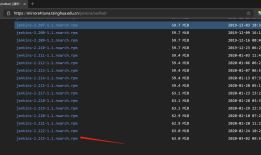 .Net Core 使用jenkins 部署到远程服务器docker