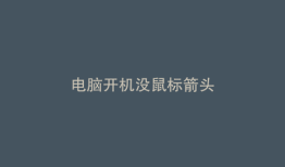 电脑开机没鼠标箭头