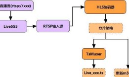 调用Live555接收RTSP直播流，转换为Http Live Streaming(iOS直播)协议