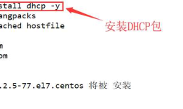 DHCP + DNS + WEB综合架构的搭建