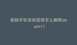 电脑开机系统选择怎么删除pe win11