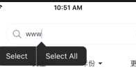 react-native IOS TextInput长按提示显示为中文（select | selectall -> 选择 | 全选）