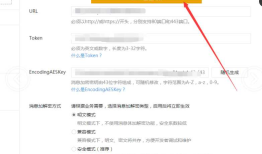 微信公众平台开发配置项：Token验证