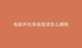 电脑开机系统选项怎么删除