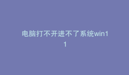 电脑打不开进不了系统win11