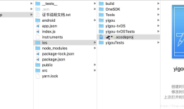 react native Xcode打包app发布ipa到蒲公英