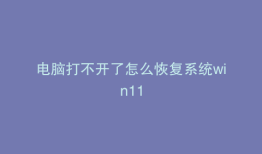 电脑打不开了怎么恢复系统win11