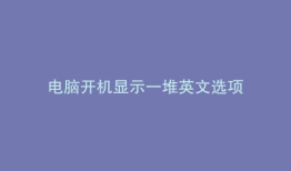 电脑开机显示一堆英文选项