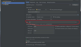 IDEA:Application Server was not connected before run configuration stop, reason: Unable to ping 1099
