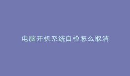 电脑开机系统自检怎么取消