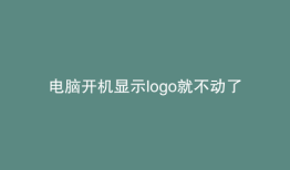 电脑开机显示logo就不动了