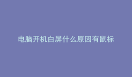 电脑开机白屏什么原因有鼠标