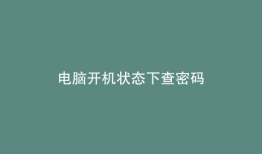 电脑开机状态下查密码