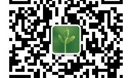 开启微信公众号之旅