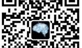 深度神经网络对脑电信号运动想象动作的在线解码