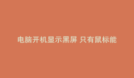 电脑开机显示黑屏 只有鼠标能动