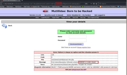 Ethical Hacking - Web Penetration Testing(9)