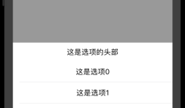 iOS 可高度自定义的底部弹框