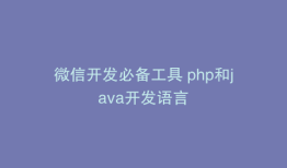微信开发必备工具 php和java开发语言