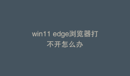 win11 edge浏览器打不开怎么办