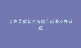 大白菜重装系统重启后进不去系统