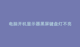 电脑开机显示器黑屏键盘灯不亮鼠标不亮