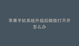 苹果手机系统升级后微信打不开怎么办