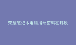荣耀笔记本电脑指纹密码在哪设置
