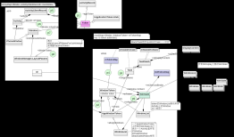 Android在WindowManagerService和ActivityManagerService中的Token